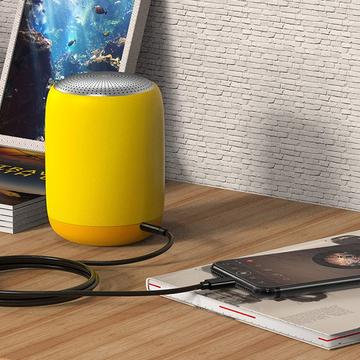 Lightning til 3.5mm lydkabel til iPhone, iPad - 1m - Sort