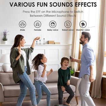 YS307 Home Karaoke Bluetooth-højttaler RGB-lyshøjttaler med 2 mikrofoner - sort