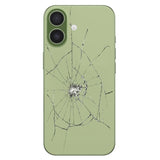 iPhone 17 Bagcover Reparation - kun glasset - Sage